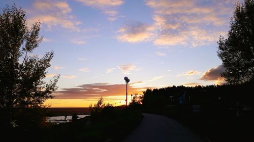 Silhouette of trees at sunset