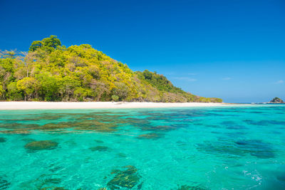 Scenic view of sea against clear blue sky