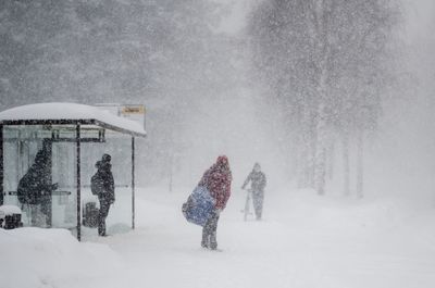 Rear view of person walking on snow covered landscape