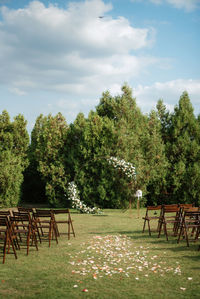 Trees on field against sky