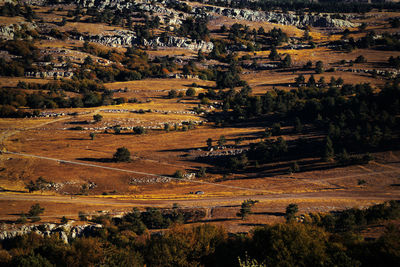 High angle view of a field