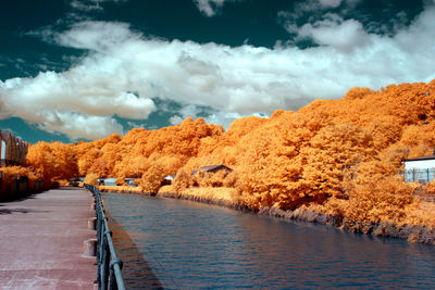 Scenic view of trees by mountains against sky