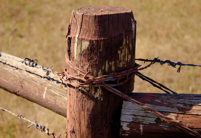 Close-up of rusty barbed wire