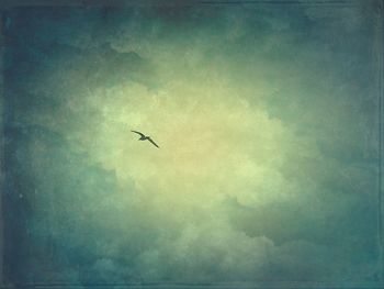 Silhouette bird flying over sea against sky