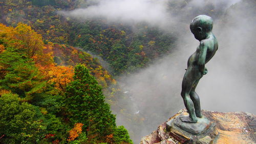 Statue on cliff over forest during foggy weather