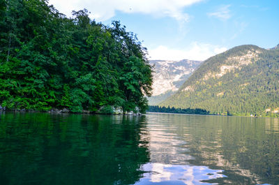 Scenic view of lake by trees against sky