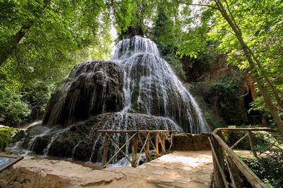 Scenic view of waterfall in forest