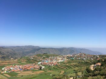 Scenic view of agricultural field against clear sky