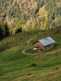 House on field by trees and plants