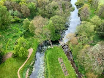 High angle view of stream amidst trees in forest