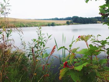 Scenic view of lake against sky