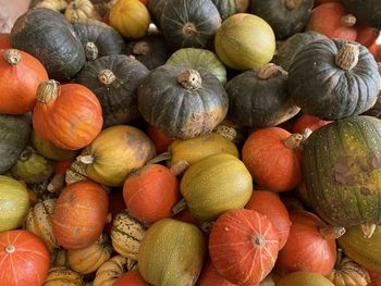 Full frame shot of pumpkins