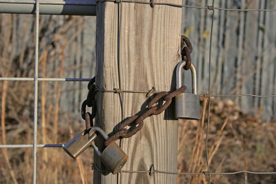 Close-up of barbed wire on metal fence