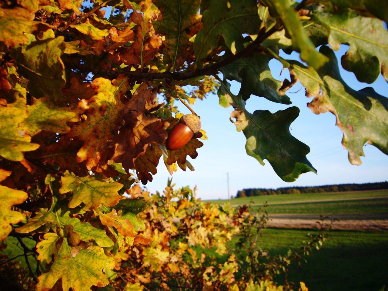 Herbst 🍂