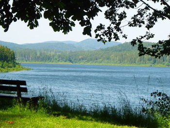 Scenic view of lake by trees on field