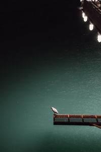 High angle view of illuminated lamp in swimming pool