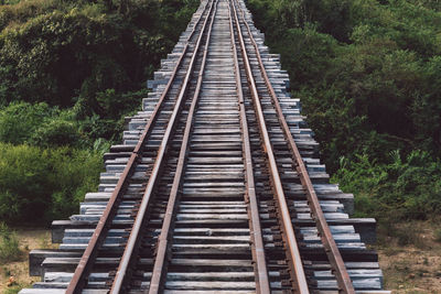 High angle view of railroad tracks amidst trees