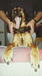 Close-up of man holding dog sitting at home