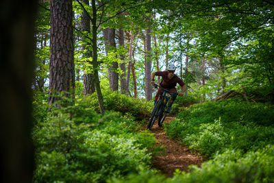 Man riding mountain bike on footpath amidst trees in forest, austria