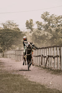 Man riding bicycle