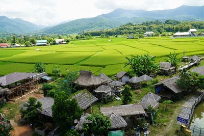 High angle view of houses and trees on field