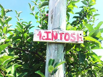 Close-up of signboard by tree against sky