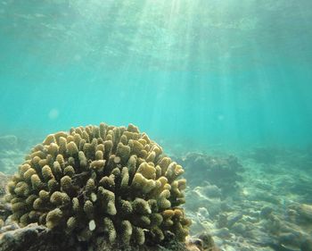 Rocks in sea