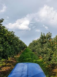 Road amidst trees against sky