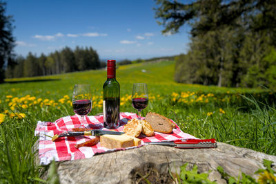 Red wine bottles on table