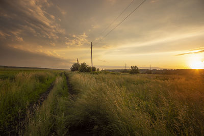 Scenic view of field against sky during sunset