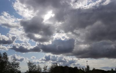 Low angle view of trees against dramatic sky