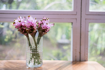 Close-up of pink flower vase on table against window