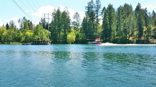 Scenic view of river with trees in background