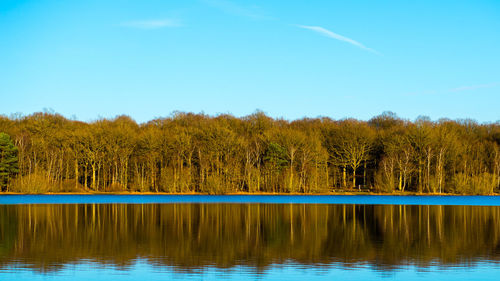 Scenic view of calm lake against clear sky