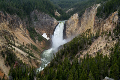 Scenic view of waterfall in forest