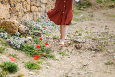 Children's feet barefoot goes over stones and wild flowers. summer holidays, 