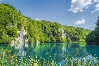 Scenic view of lake by trees against sky