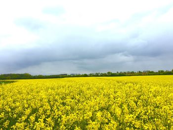 Scenic view of field against cloudy sky