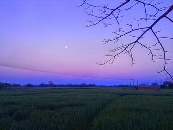 Scenic view of field against sky during sunset