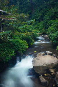 Stream flowing through rocks in forest