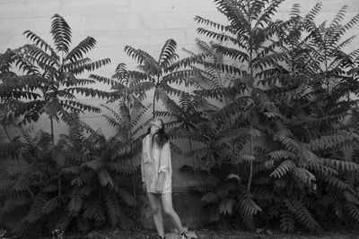 Rear view of woman standing by palm trees