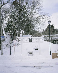 Snow covered field by trees