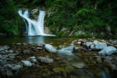 Scenic view of waterfall in forest