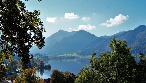 Trees by calm lake against mountain range