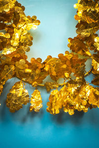 Close-up of yellow flowering plant against blue sky