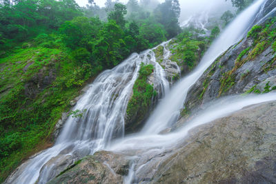 Scenic view of waterfall in forest