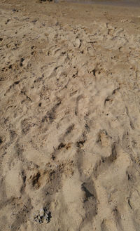 High angle view of footprints on sand