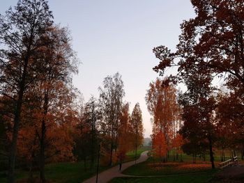 Trees in park against sky during autumn