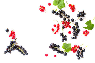 High angle view of berries against white background