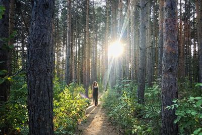 Rear view of women walking in forest